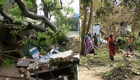 கஜா புயல் பாதிப்பு; மீட்பு  மற்றும் நிவாரண நடவடிக்கைகள்: அனைத்துக்கட்சி கூட்டத்தை உடனடியாக கூட்ட மார்க்சிஸ்ட் வலியுறுத்தல்