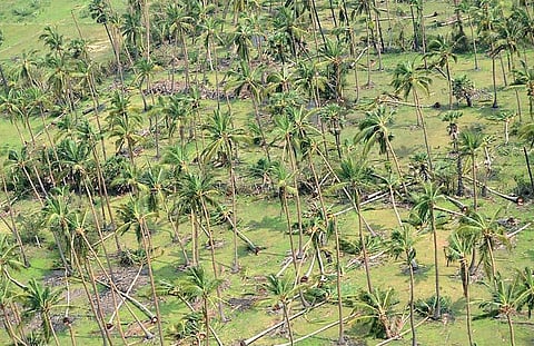 கஜ தாண்டவம்