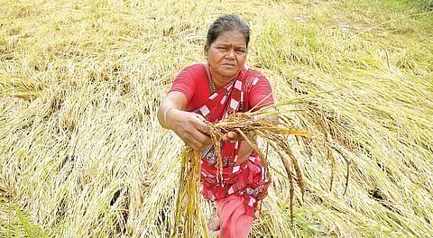 இயற்கைச் சீற்றம்: புயலோடு போராடும் பெண்கள்