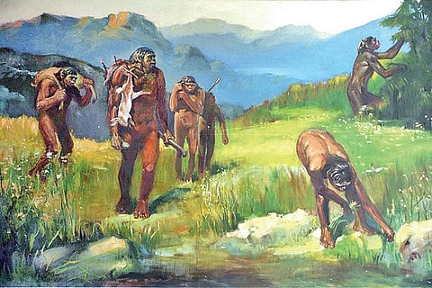 திறந்திடு சீஸேம் 10: பீகிங் மண்டை ஓடு!