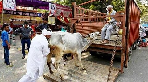 போலீஸ் அதிகாரி அடித்துக் கொலை: உ.பி.யில் பசுக் காப்பாளர்களின் வெறியாட்டம்