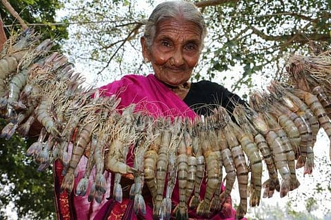இந்தியாவின் மூத்த யூடியூப் கலைஞர், வாட்டர்மெலன் சிக்கன் புகழ் மஸ்தானாம்மா காலமானார்