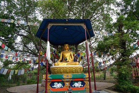 புத்தருடன் ஒரு காலை நடை: 18 - மனித மனங்களின் விழிப்புணர்வு வழிகாட்டி