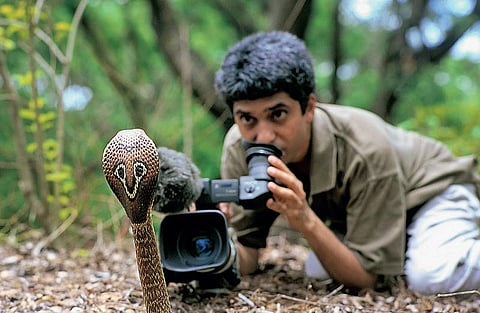 வானகமே இளவெயிலே மரச்செறிவே 18: திரையில் காட்டுயிர்