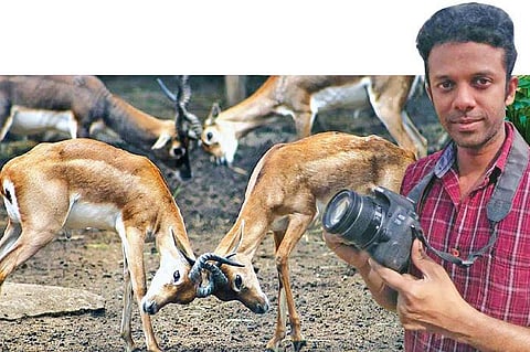 காட்டில் தவமிருக்கும் ‘கேமரா காதலர் - ‘வைல்டு லைஃப் போட்டோகிராபியில் கலக்கும் கோவை இளைஞர்