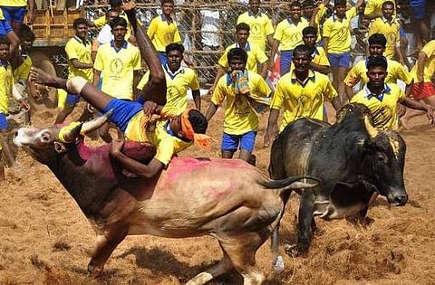 ﻿அவனியாபுரம், பாலமேடு, அலங்காநல்லூரில் ﻿ஜனவரி 15, 16, 17 தேதிகளில் ஜல்லிக்கட்டு நடத்தப்படும்﻿: ﻿தமிழக அரசு அரசாணை வெளியீடு﻿