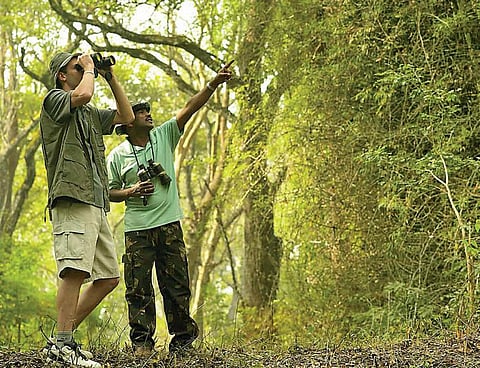 புத்தாண்டில் நீங்களும் பட்சிராஜன் ஆகலாம்!