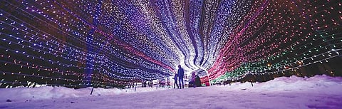 புத்தாண்டு விளக்குச் சிற்பங்கள்