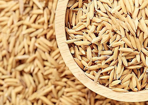 ஒரு கிராமம் செய்த பாரம்பரிய அறுவடை