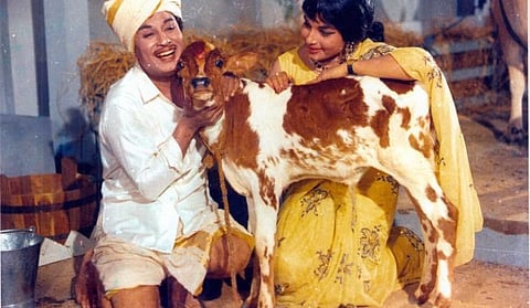 மாட்டுக்கார வேலனுக்கு49 வயது!