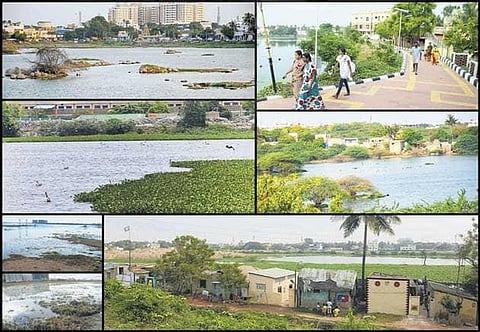 ஏரி ஆக்கிரமிப்புகள் அகற்ற கோரும் வழக்கு: தலைமைச் செயலாளர் அறிக்கை அளிக்க உயர் நீதிமன்றம் உத்தரவு