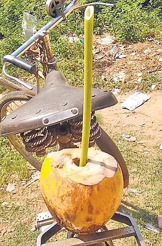 இது இயற்கை ஸ்டிரா