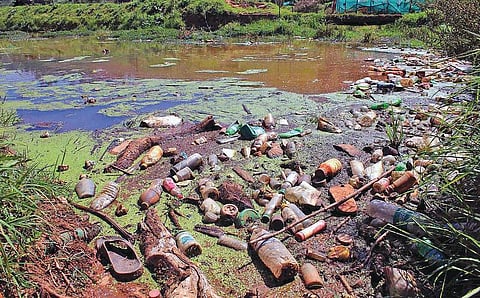 பிளாஸ்டிக் ஒழிப்பில் வழிகாட்டிய நீலகிரி!