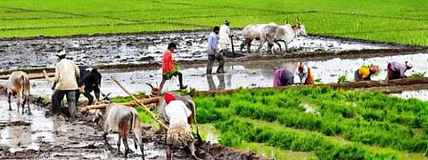 விவசாயிகளுக்கு ரூ.6 ஆயிரம் உதவித்தொகை : ஆண்டுக்கு 3 தவணைகளாகப் பட்டுவாடா: பட்ஜெட்டில் அறிவிப்பு