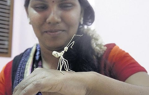 கற்பக தரு 38: பனையோலைப் பொம்மைகள்