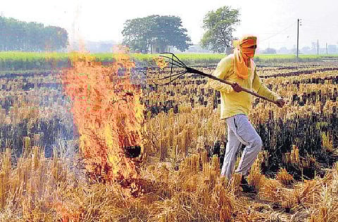 காற்று மாசுபாட்டைக் களைந்த விவசாயிகள்