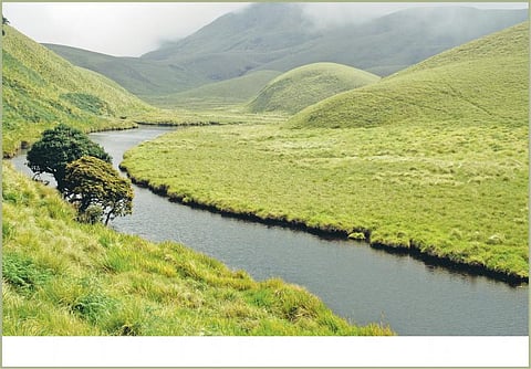 பாதுகாக்கப்படுமா மேற்குத் தொடர்ச்சி மலை?