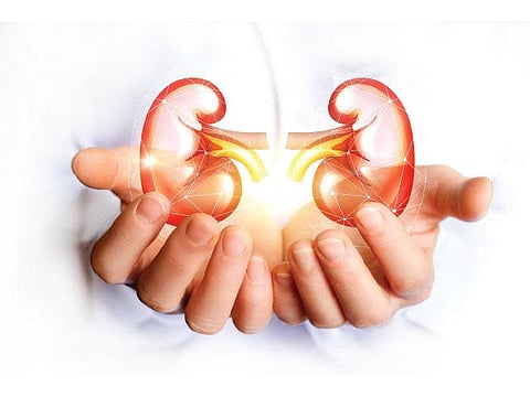 சிறுநீரகம் காப்போம்!