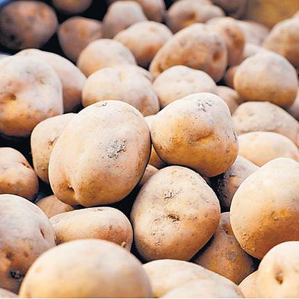 உருளைக்கிழங்குகளுக்கு உதவிக் கரம்