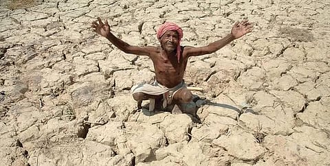 வறட்சி மாவட்டங்களாக﻿﻿﻿ 24 மாவட்டங்கள் அறிவிப்பு﻿