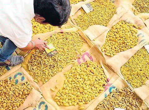 காத்திருக்கும் மஞ்சள்