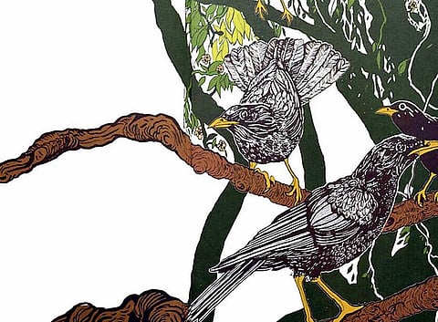 காடர்கள்: இயற்கையின் ஓர் அணு