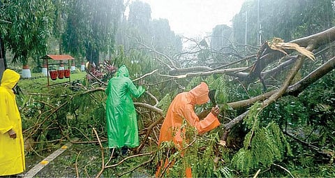 மணிக்கு 245 கி.மீ. வேகத்தில் கரையை கடந்த ஃபானி புயல்; முடங்கியது ஒடிசா மாநிலம்: 6 பேர் உயிரிழப்பு; 160 பேர் படுகாயம்