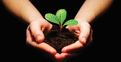 மலடாக மாறும் மண்!- இயற்கை விவசாயம் கை கொடுக்குமா?