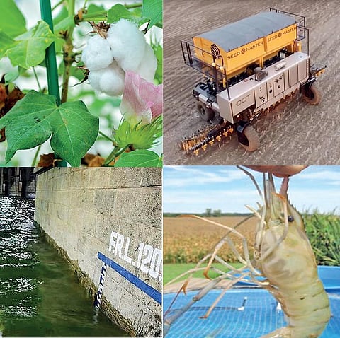 இழப்பீடு வழங்க விதை நிறுவனங்கள் மறுப்பு