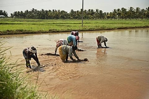 காவிரியில் தமிழகத்துக்கு 9.19 டிஎம்சி தண்ணீர் திறக்க வேண்டும்: கர்நாடகாவுக்கு காவிரி ஆணையம் உத்தரவு
