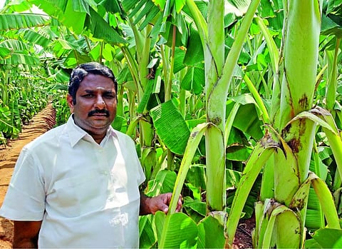 மூச்சுள்ள வரைக்கும் போராடணுமுங்க... கொங்கு விவசாயி தீத்திபாளையம் பெரியசாமி!