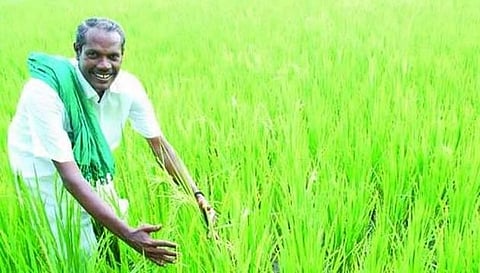 12 ஆம் வகுப்பு பாடப்புத்தகத்தில் இடம்பெற்றார் நெல் ஜெயராமன்