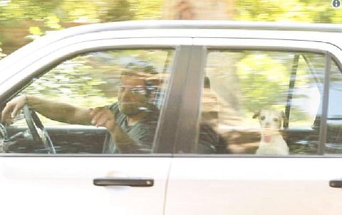 செல்லப் பிராணியுடன் ராகுல்: இணையத்தில் வைரலாகும் புகைப்படம்