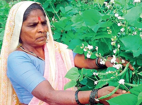 விதைத் தாய் வென்ற கான் விருது