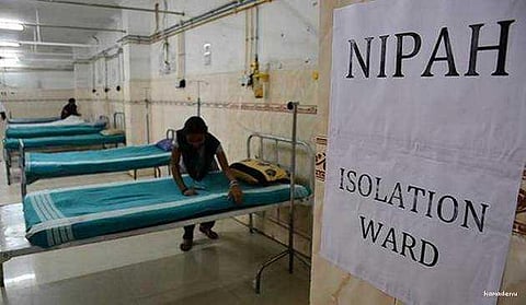 வவ்வால் கடித்த பழங்களை சாப்பிட வேண்டாம்: நிபா வைரஸ் பரவாமல் தடுக்க நடவடிக்கை