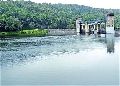 கொங்கு மண்டலத்தை வளமாக்கும் பி.ஏ.பி. திட்டம்!