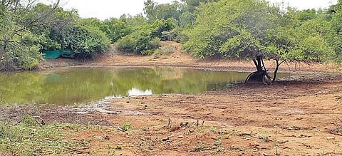 வறண்டு வரும் வனக்குட்டைகள்! - தவிக்கும் வன விலங்குகள்