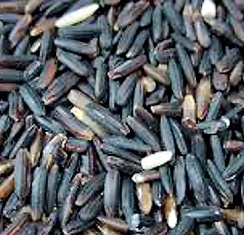 கருங்குறுவை மருந்து