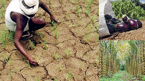 தண்ணீரைத் தேடி