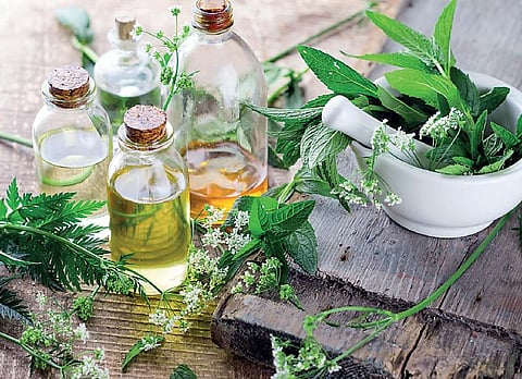 எது இயற்கை உணவு 07: இயற்கை விளைபொருட்கள் இயற்கையானவையா?