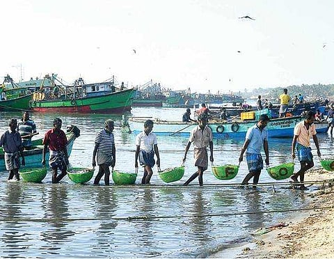 மீன்பிடி தடை முடிந்து கடலுக்குச் சென்ற ராமேசுவரம் மீனவர்களுக்கு ஒரே நாளில் 2.5 லட்சம் கிலோ இறால் மீன்கள் சிக்கின
