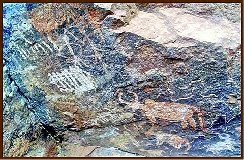 கரிக்கையூர் பாறை ஓவியங்களை பாதுகாக்க நடவடிக்கை! - தொல்லியல் ஆர்வலர்கள் வரவேற்பு