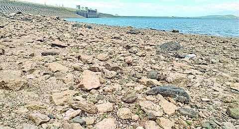 மழையின்றி குறைந்து வரும் வைகை அணை நீர்மட்டம்: மதுரை நகர குடிநீருக்கு சிக்கல்