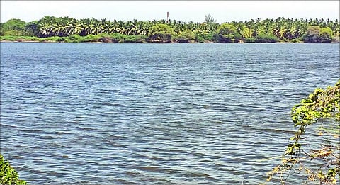 கோடையிலும் நீர் நிரம்பியுள்ள சாமளாபுரம் குளம்!