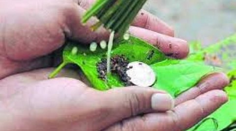 கிரகண தர்ப்பணம்; ஆடி மாத தர்ப்பணம் மறக்காதீங்க!   - நாலுபேருக்கு உணவுப்பொட்டலம் கொடுங்க! 