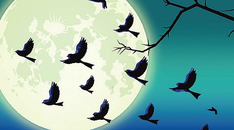 பாவ்லா பிக்காசோ கதை: சிட்னி எங்கே?