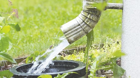 மழை வருகிறது…