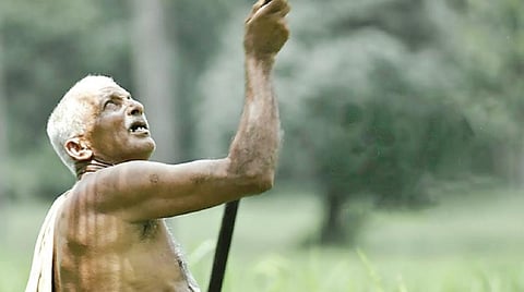 வேட்டைக்கு இரையாகும் வாழ்க்கை