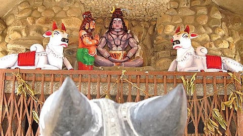 உயிர் வளர்க்கும் திருமந்திரம் 87: கட்டு அறுத்து வீடு பெறுவோம்