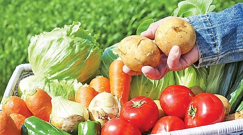 எது இயற்கை  உணவு 13: இயற்கை வேளாண் பொருளை உறுதிப்படுத்துவது எப்படி?